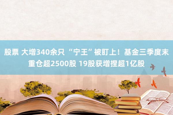 股票 大增340余只 “宁王”被盯上！基金三季度末重仓超2500股 19股获增捏超1亿股