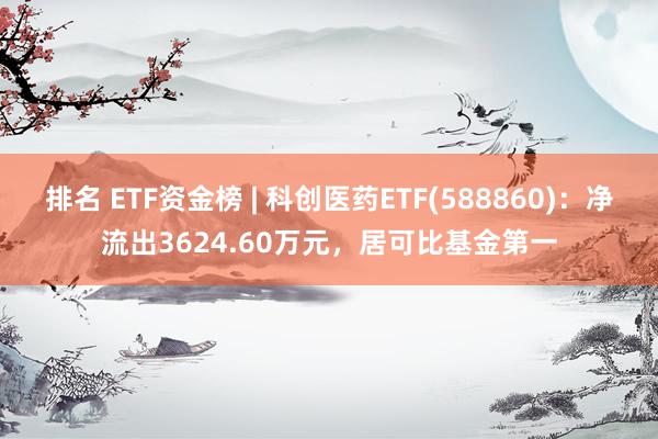 排名 ETF资金榜 | 科创医药ETF(588860)：净流出3624.60万元，居可比基金第一