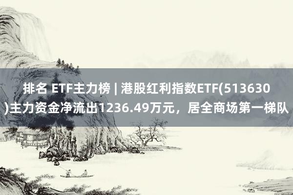 排名 ETF主力榜 | 港股红利指数ETF(513630)主力资金净流出1236.49万元，居全商场第一梯队