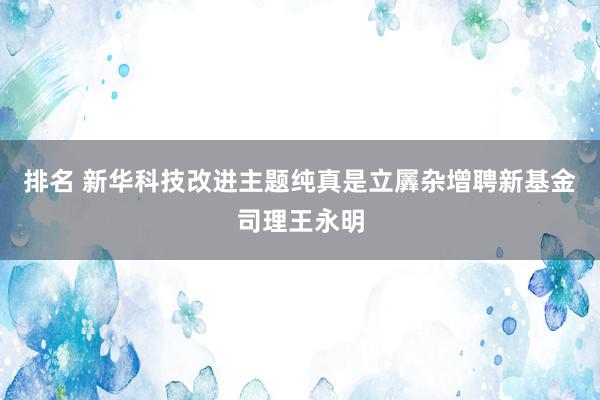 排名 新华科技改进主题纯真是立羼杂增聘新基金司理王永明