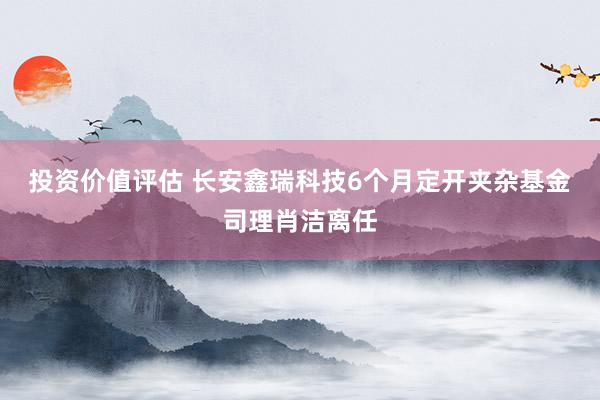 投资价值评估 长安鑫瑞科技6个月定开夹杂基金司理肖洁离任