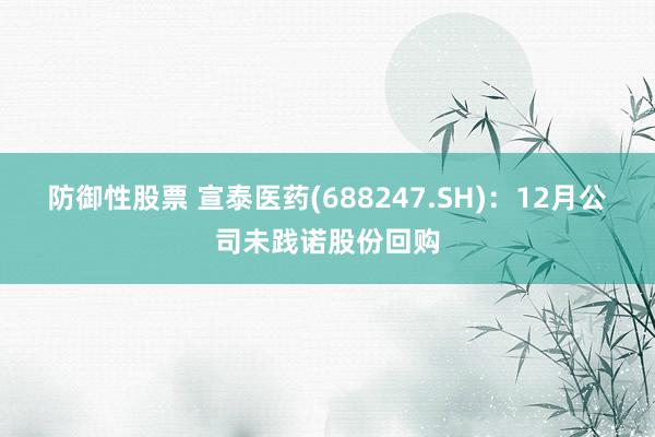 防御性股票 宣泰医药(688247.SH)：12月公司未践诺股份回购