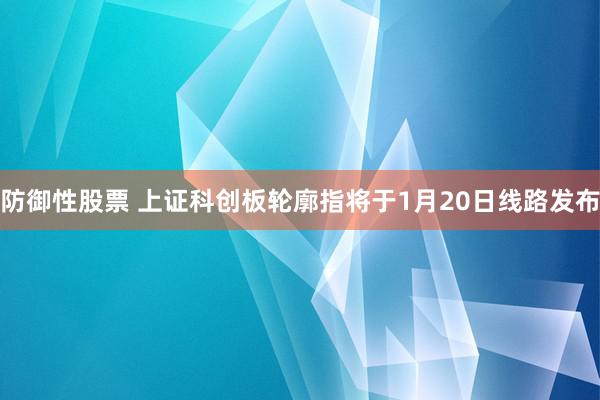 防御性股票 上证科创板轮廓指将于1月20日线路发布