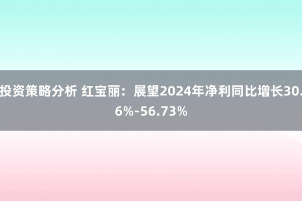 投资策略分析 红宝丽：展望2024年净利同比增长30.6%-56.73%