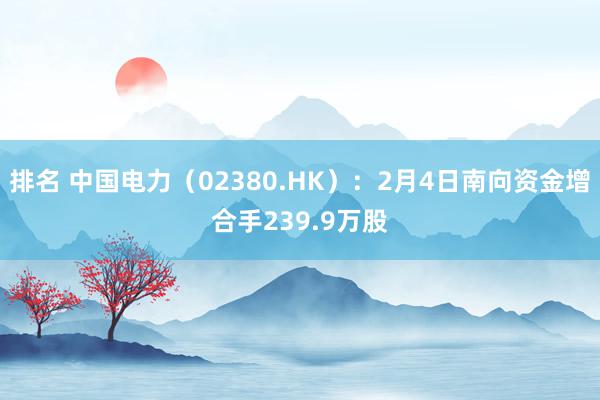 排名 中国电力（02380.HK）：2月4日南向资金增合手239.9万股