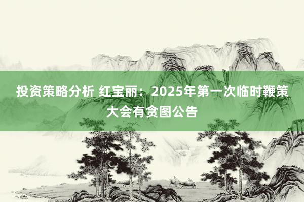 投资策略分析 红宝丽：2025年第一次临时鞭策大会有贪图公告