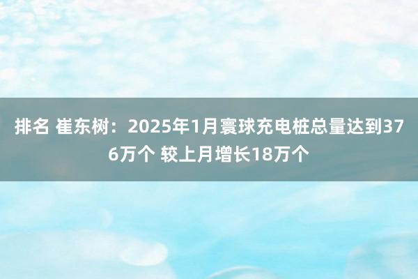 排名 崔东树：2025年1月寰球充电桩总量达到376万个 较上月增长18万个