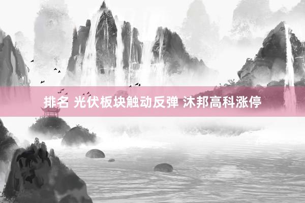 排名 光伏板块触动反弹 沐邦高科涨停