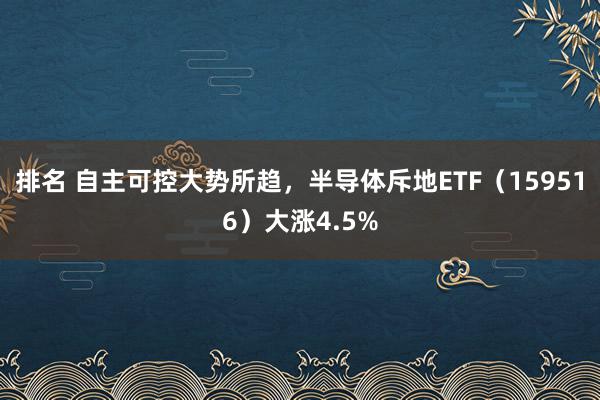 排名 自主可控大势所趋，半导体斥地ETF（159516）大涨4.5%