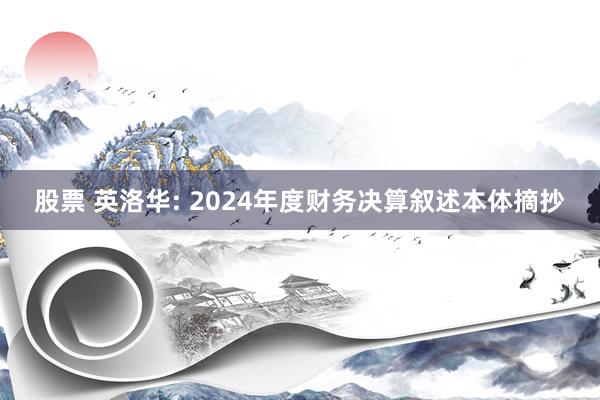 股票 英洛华: 2024年度财务决算叙述本体摘抄