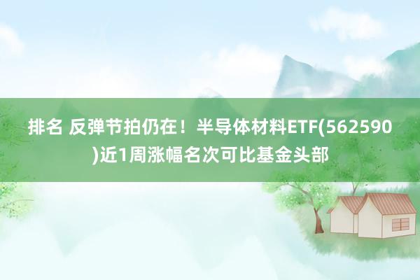 排名 反弹节拍仍在！半导体材料ETF(562590)近1周涨幅名次可比基金头部