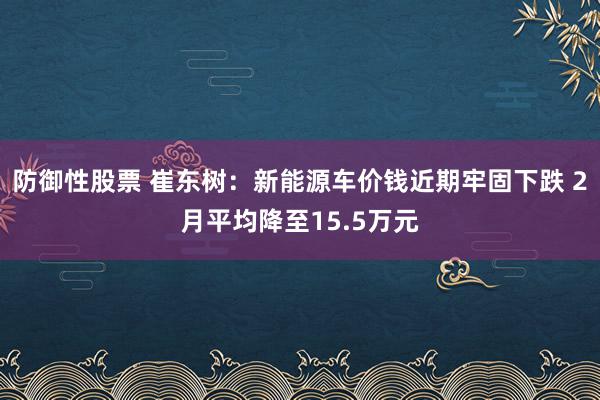 防御性股票 崔东树：新能源车价钱近期牢固下跌 2月平均降至15.5万元